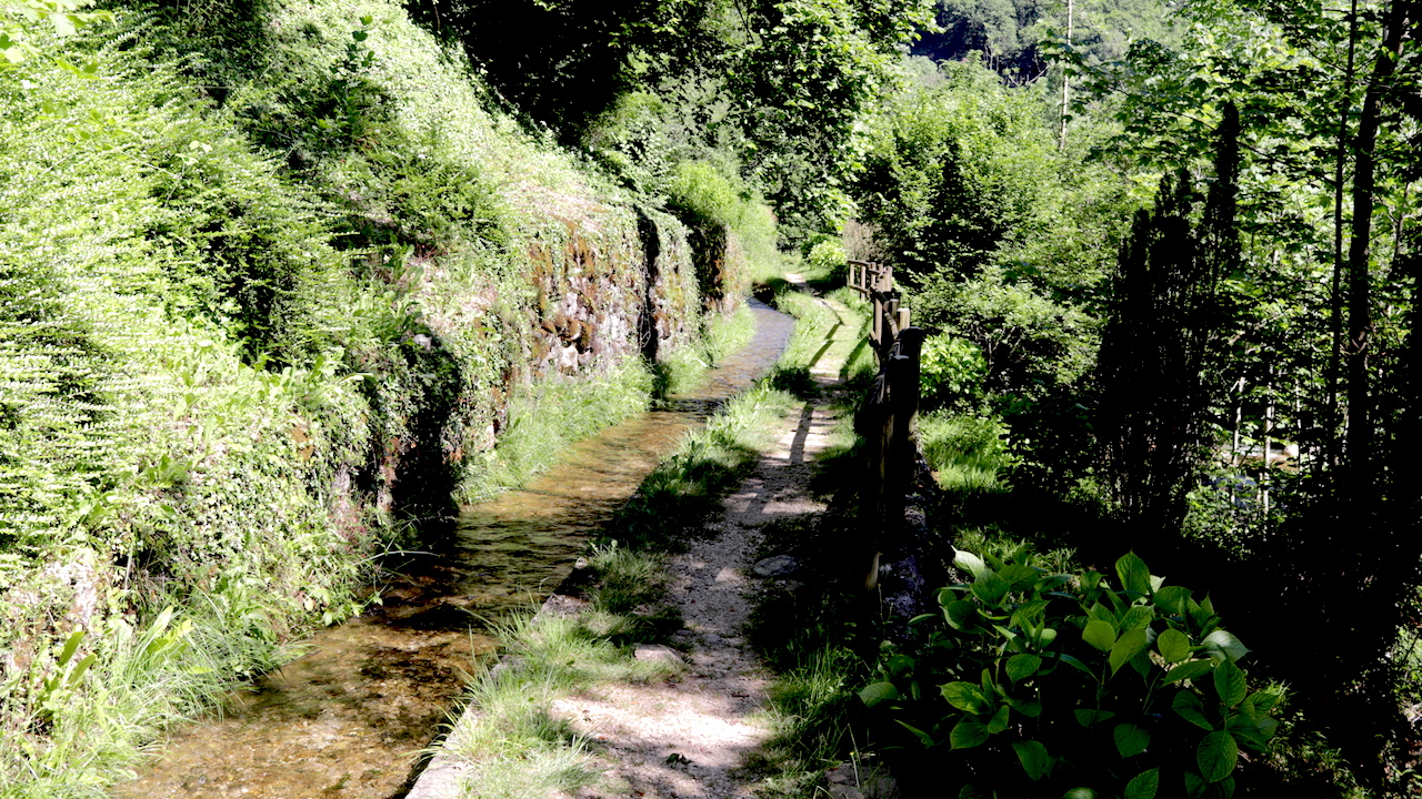 Sentiero lungo un ruscello
